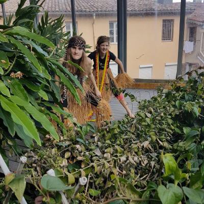 2 Nivusniconnusalarecherchedeinspirationmip20mai2017 46